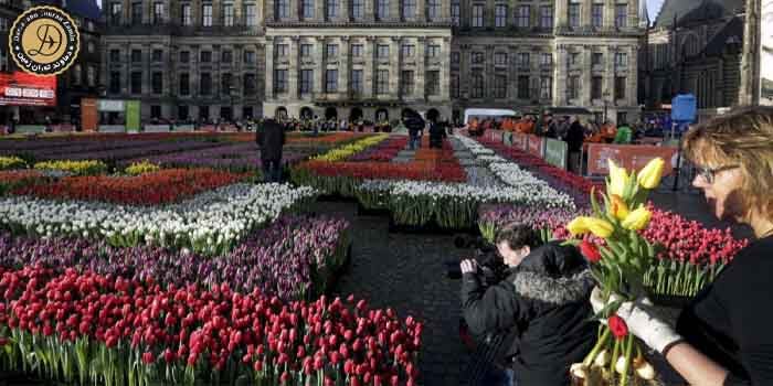 راهنمای کامل کشور هلند